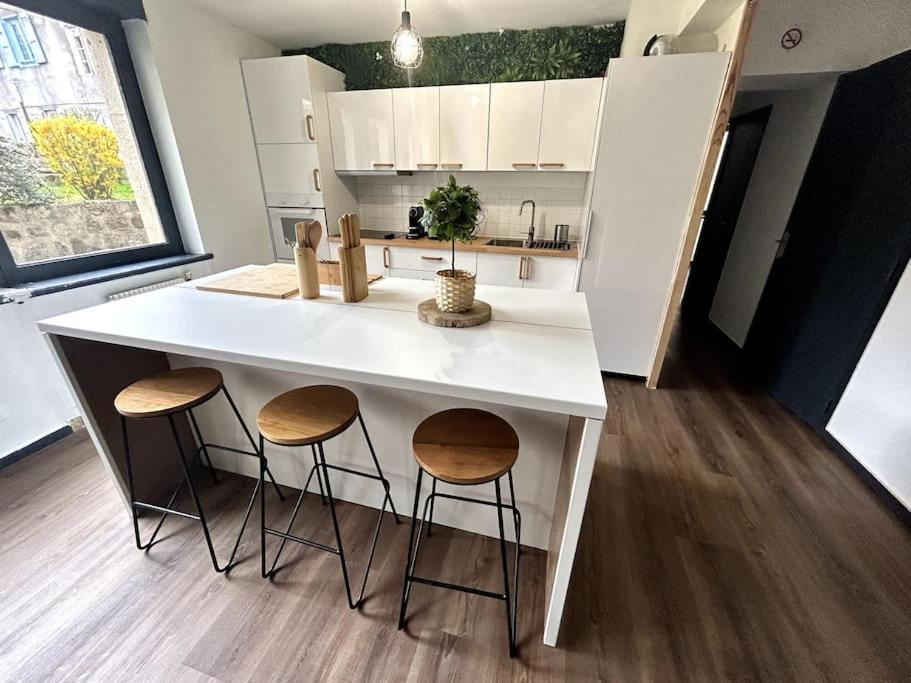 Le Puy En Velay - Appartement Grand Confort Екстериор снимка