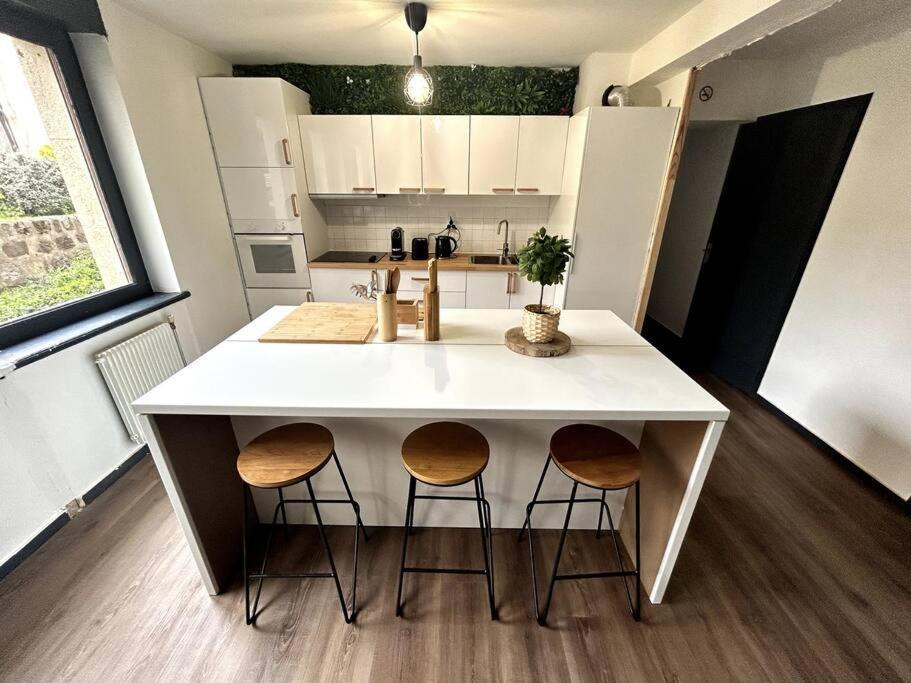 Le Puy En Velay - Appartement Grand Confort Екстериор снимка
