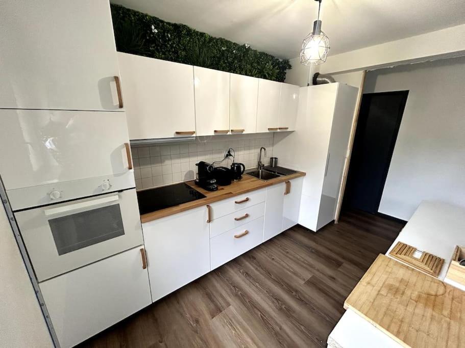 Le Puy En Velay - Appartement Grand Confort Екстериор снимка