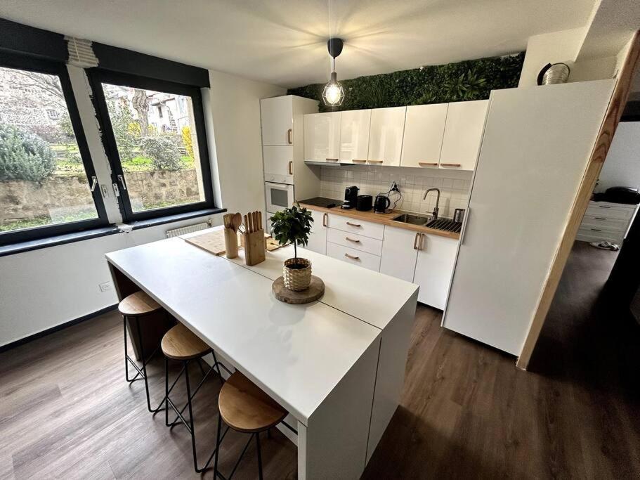 Le Puy En Velay - Appartement Grand Confort Екстериор снимка