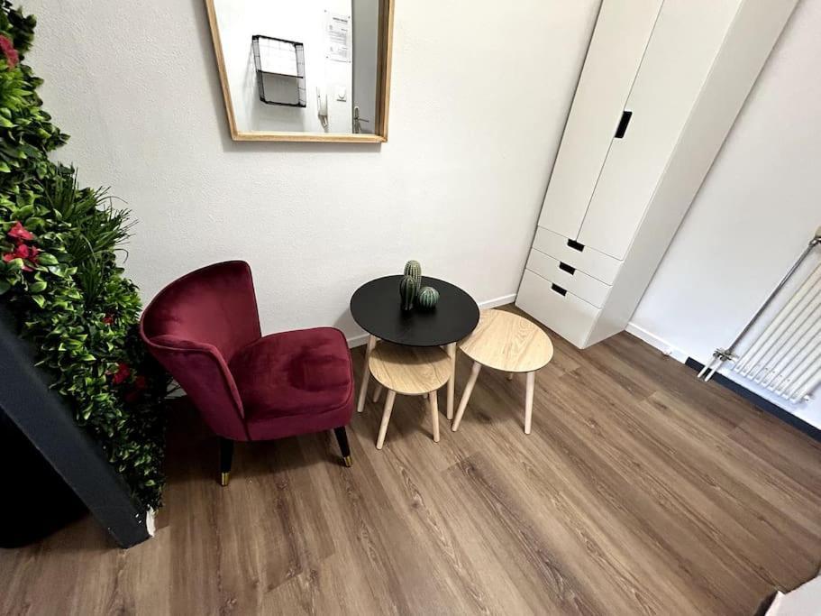 Le Puy En Velay - Appartement Grand Confort Екстериор снимка