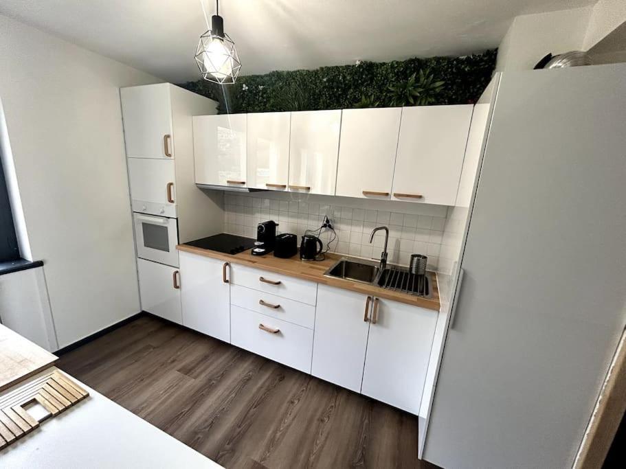 Le Puy En Velay - Appartement Grand Confort Екстериор снимка