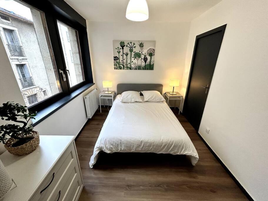 Le Puy En Velay - Appartement Grand Confort Екстериор снимка